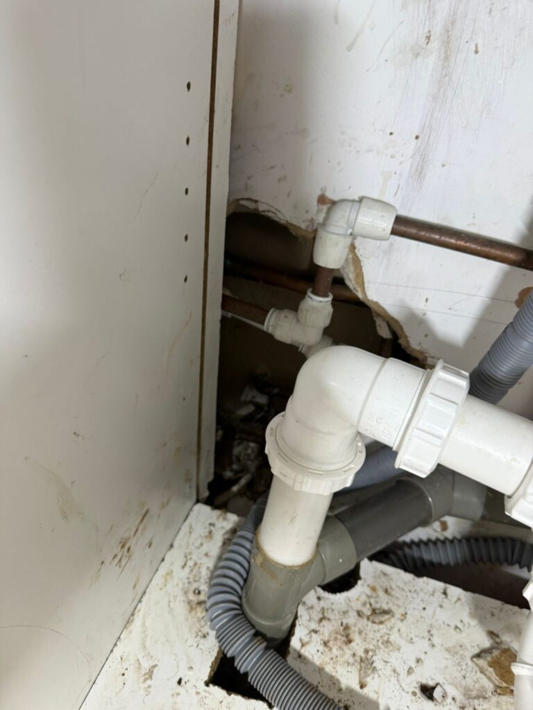 78cb6ed0 Ce29 499a 8c04 Cd6ffe8c289d 768x1024