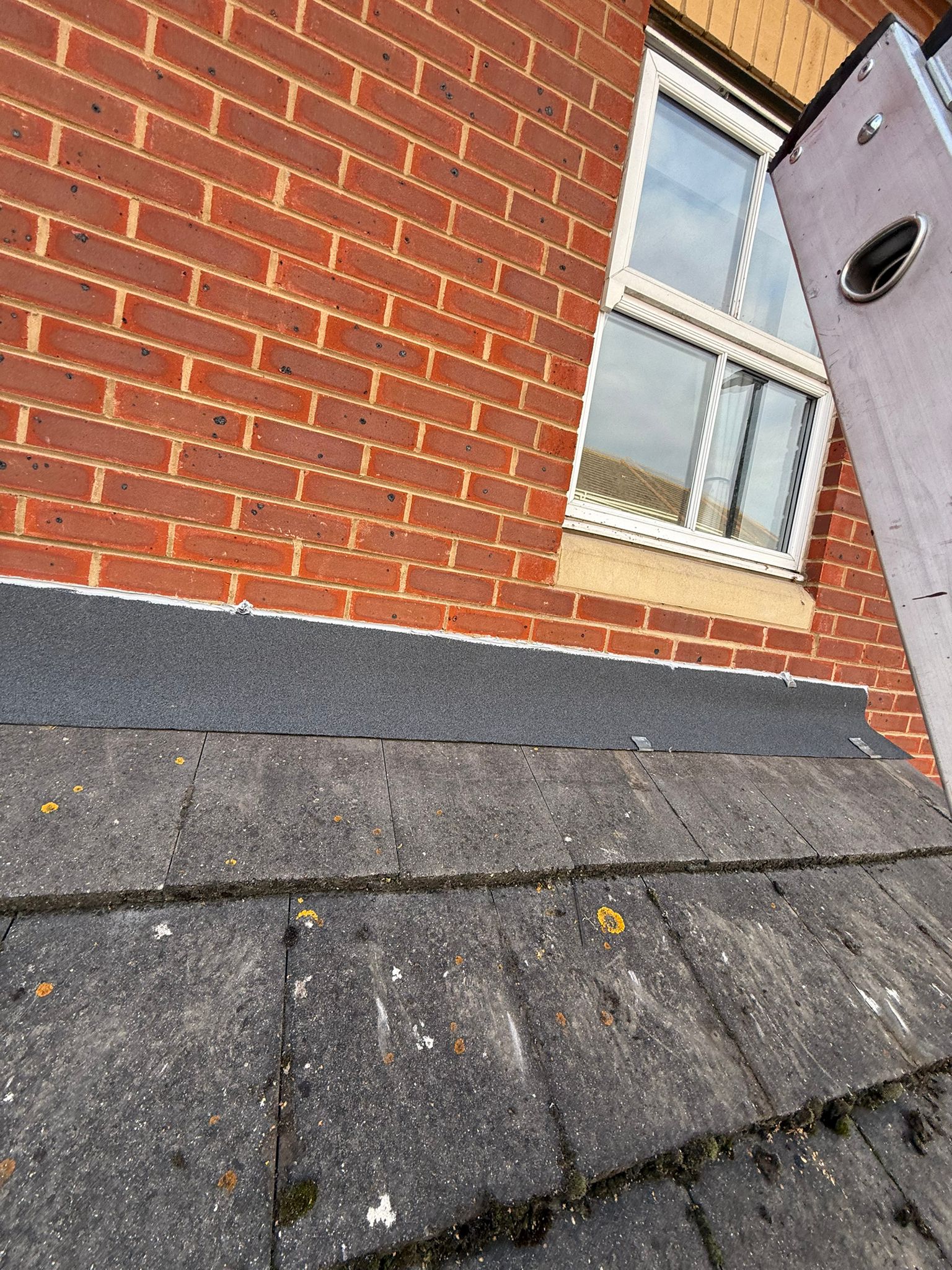 WhatsApp Image 2026 01 13 At 12.08.27 AM