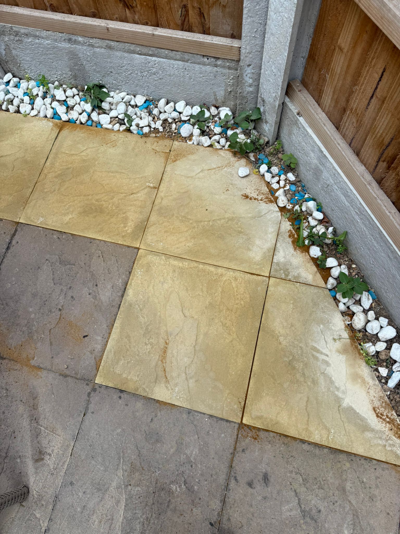 whatsapp image 2026 03 17 at 11.50.09 pm